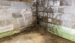 Dark and moldy basement walls.