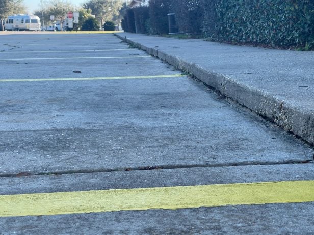 Low view of a parking lot with yellow lines and an adjacent sidewalk bordered by bushes.